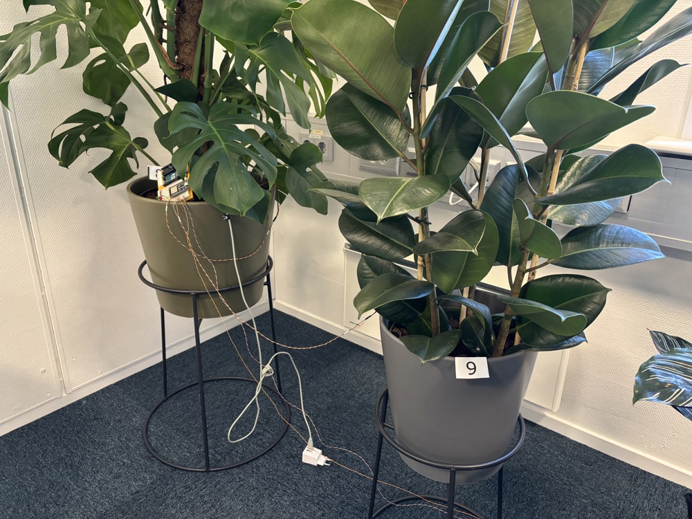 grønne planter, ledningsnett